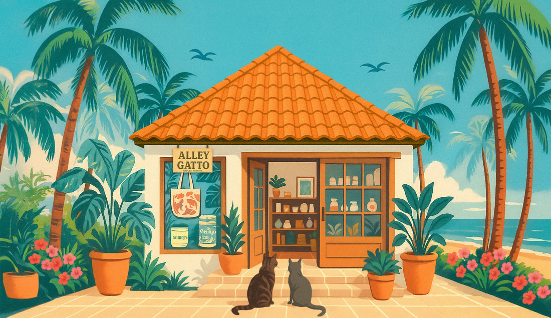 Welcome to the Little World of Alley Gatto
